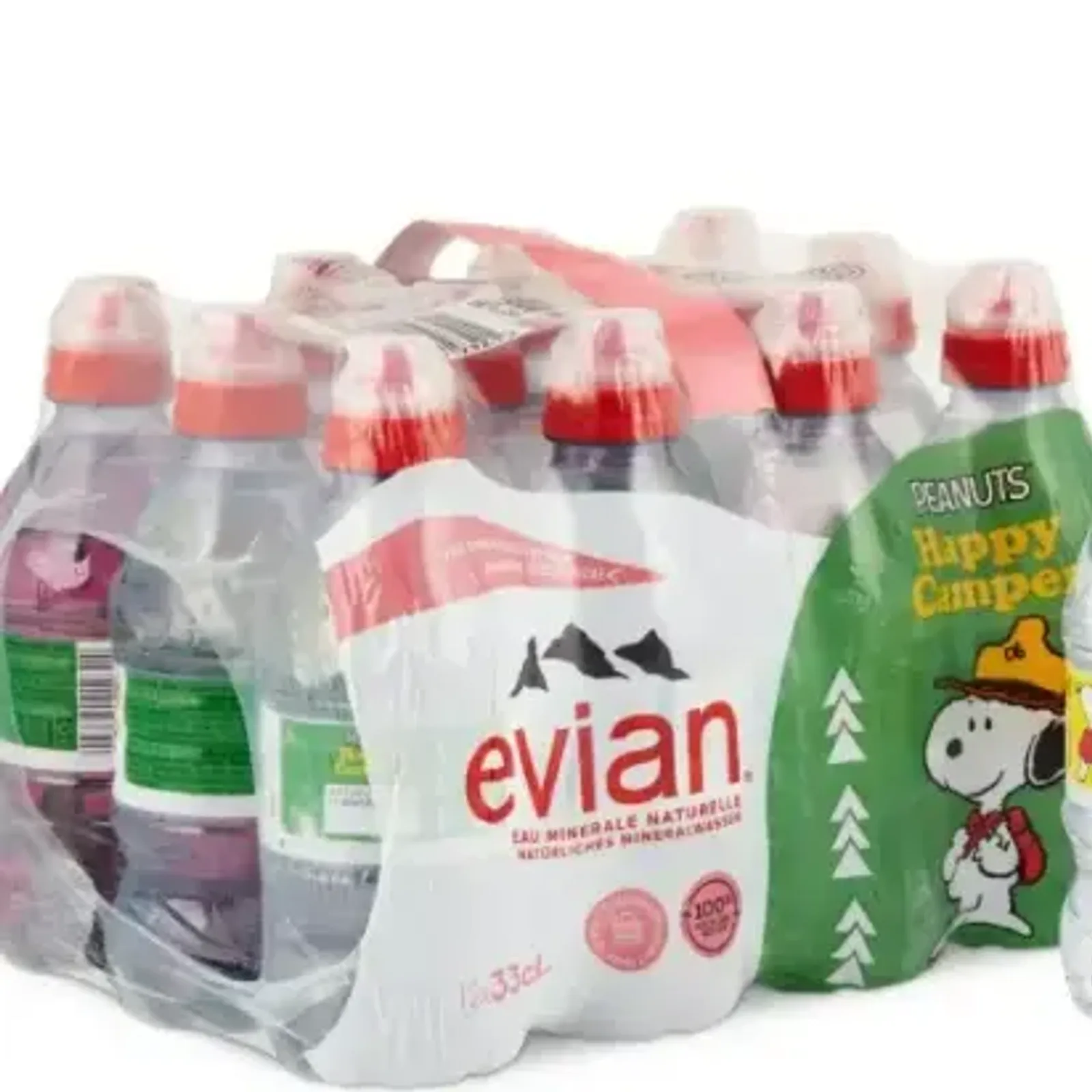 Evian Water 33cl